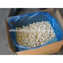 IQF frozen fresh garlic price